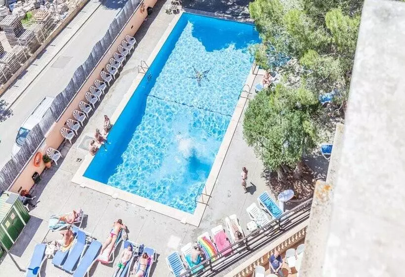 Fotos del hotel Bluesea Costa Verde:  4