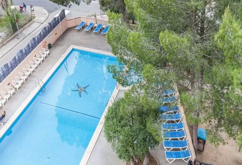 Fotos del hotel Bluesea Costa Verde:  5