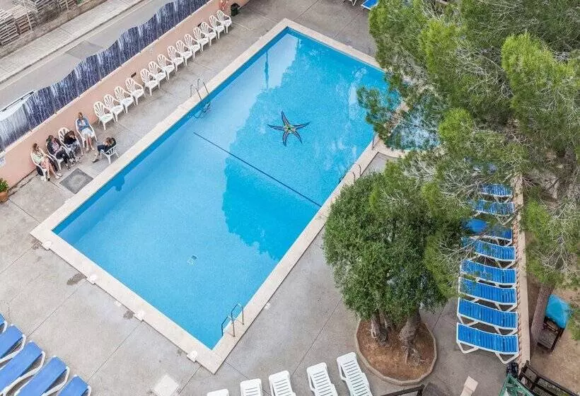 Fotos del hotel Bluesea Costa Verde:  6