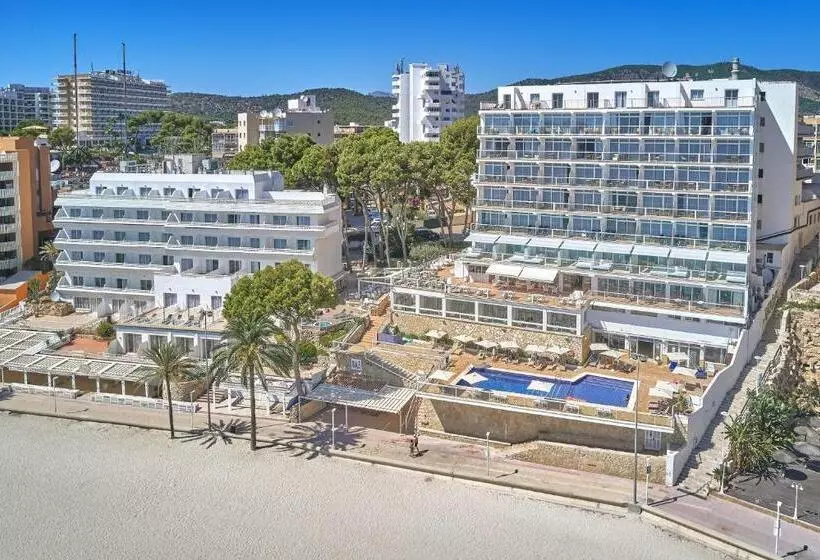 Fotos del hotel Spa Flamboyan-Caribe:  19