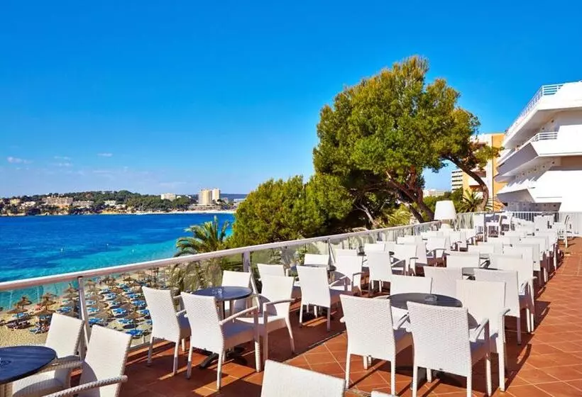 Fotos del hotel Spa Flamboyan-Caribe:  10