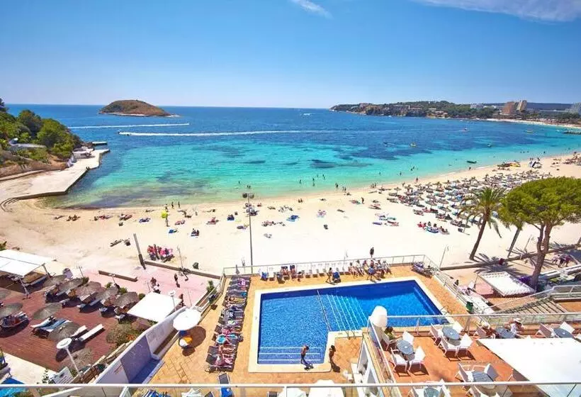 Fotos del hotel Spa Flamboyan-Caribe:  15