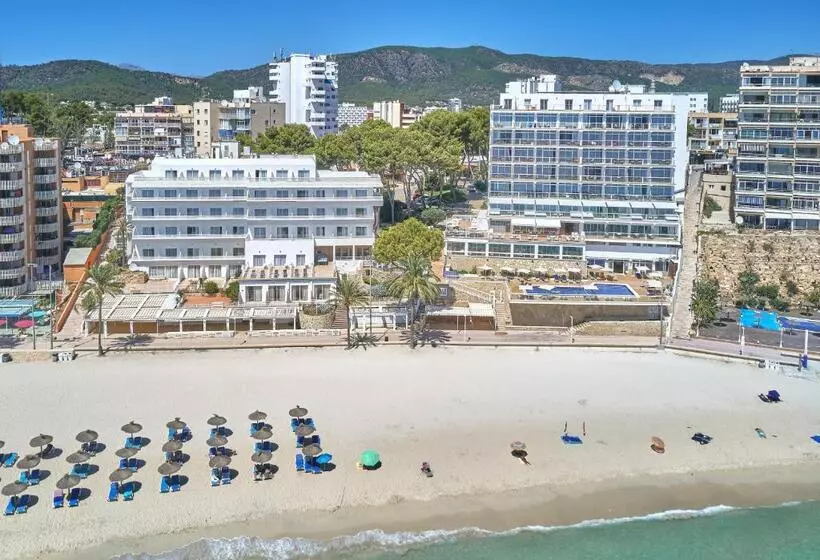 Fotos del hotel Spa Flamboyan-Caribe:  13