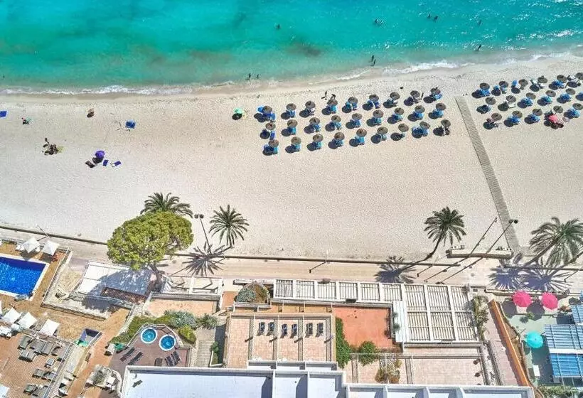 Fotos del hotel Spa Flamboyan-Caribe:  23