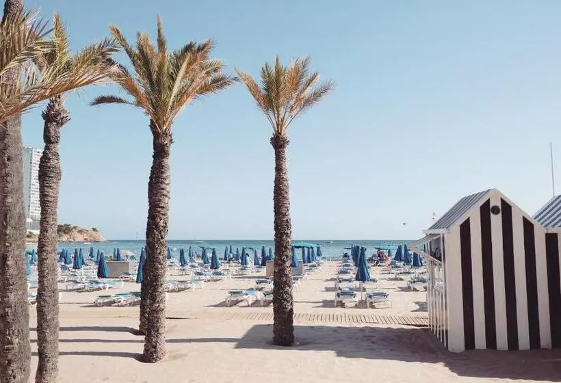 Fotos del hotel Helios Benidorm:  22