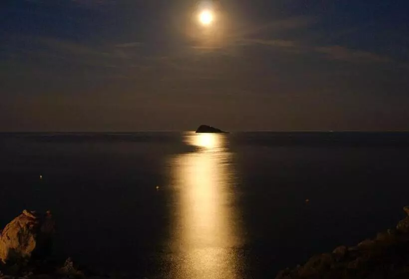 Fotos del hotel La Cala:  18