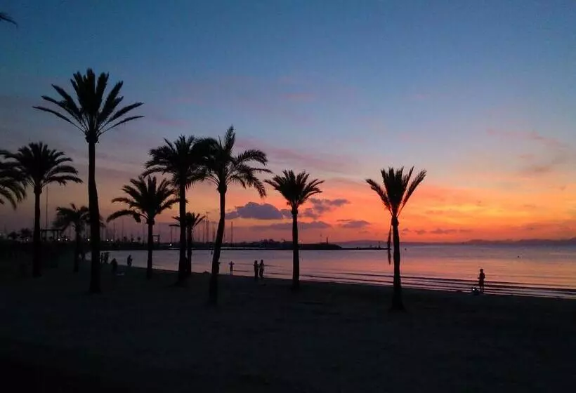 Fotos del hotel Manaus:  18