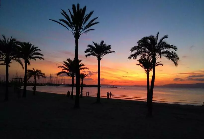 Fotos del hotel Manaus:  21