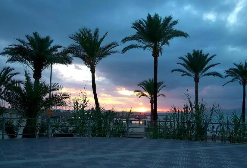 Fotos del hotel Manaus:  10