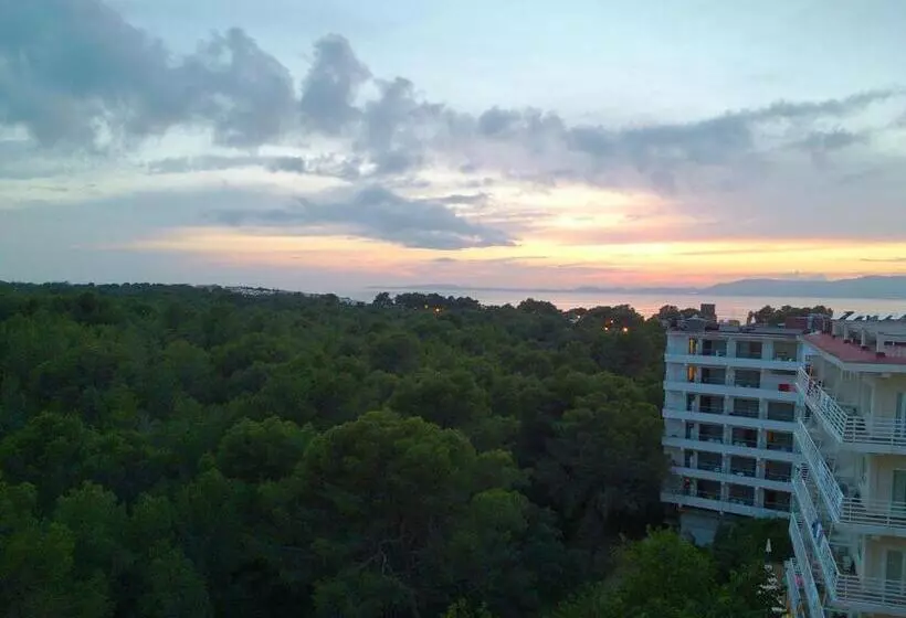 Fotos del hotel Manaus:  15