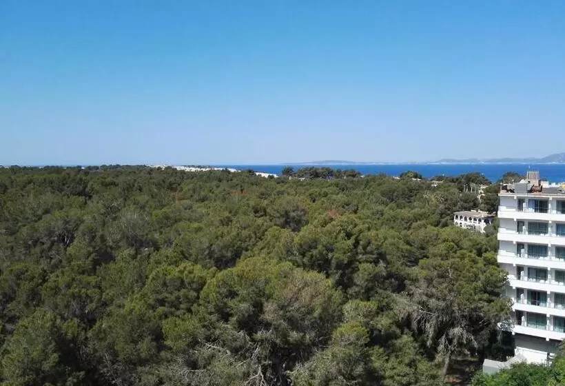 Fotos del hotel Manaus:  7