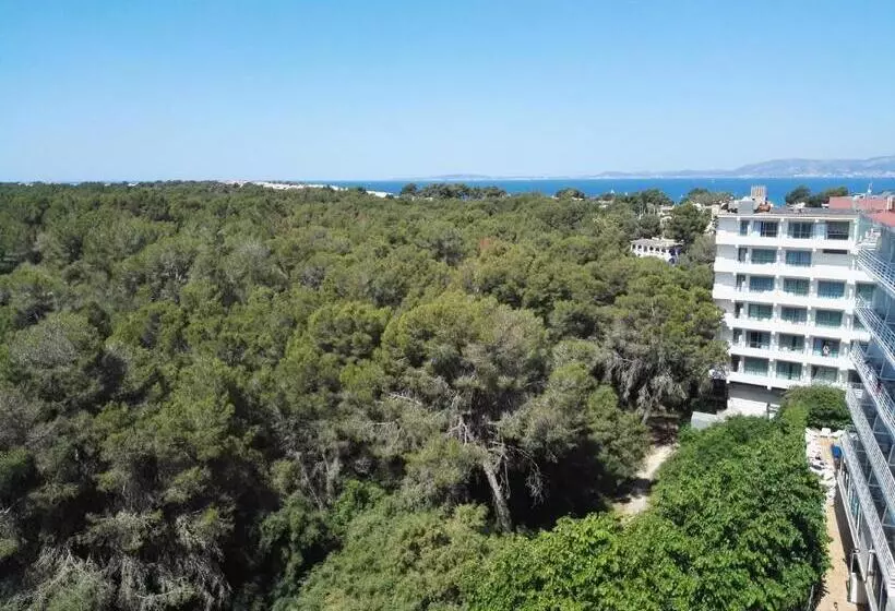 Fotos del hotel Manaus:  12