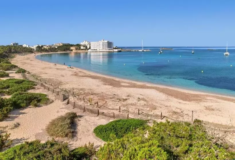 Fotos del hotel Universal  Marqués:  11