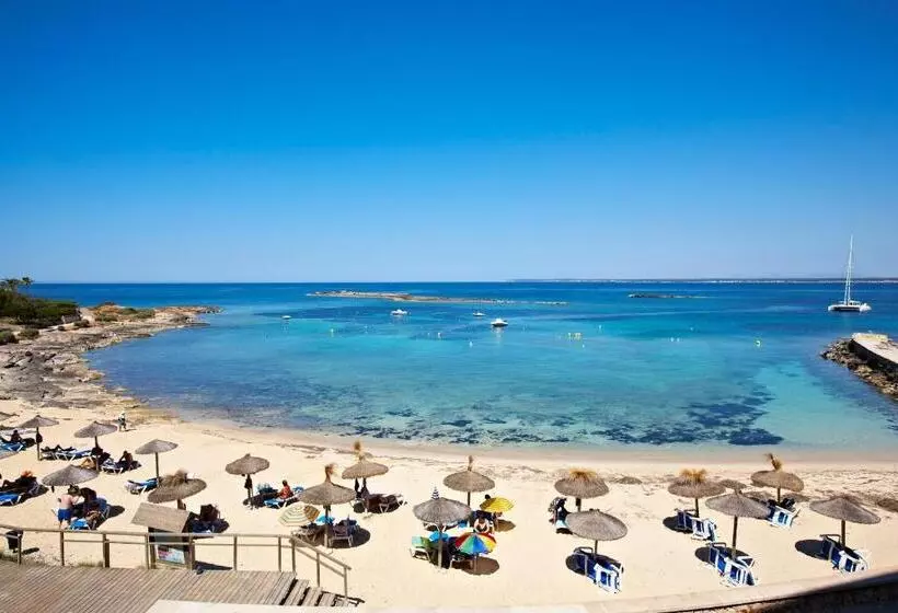 Fotos del hotel Universal  Marqués:  18