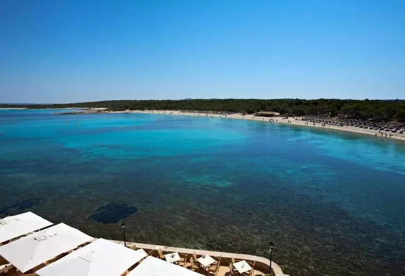 Fotos del hotel Universal  Marqués:  17