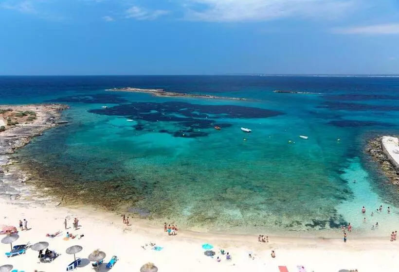 Fotos del hotel Universal  Marqués:  10