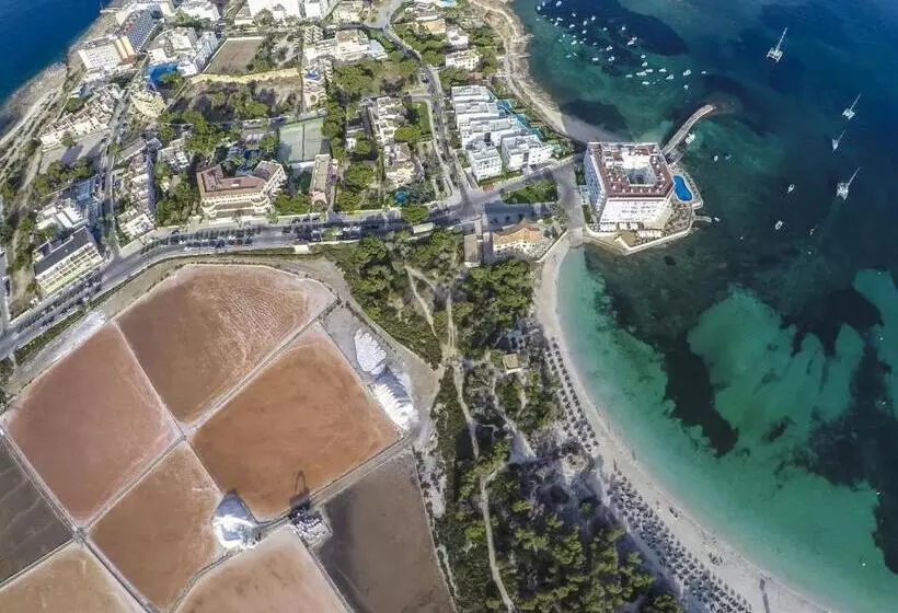 Fotos del hotel Universal  Marqués:  20