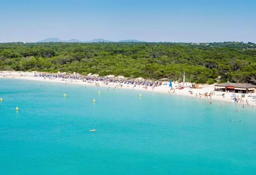 Fotos del hotel Universal  Marqués:  8