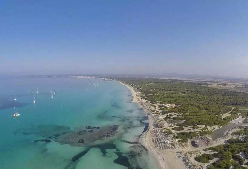 Fotos del hotel Universal  Marqués:  15