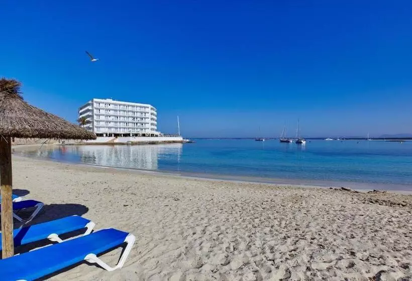 Fotos del hotel Universal  Marqués:  25