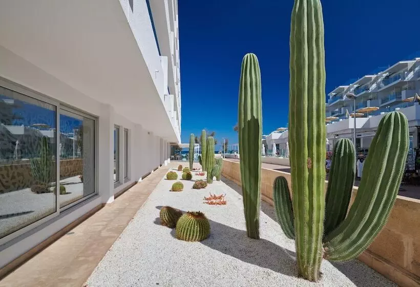 Fotos del hotel The Sea Hotel By Grupotel - Adults Only:  11