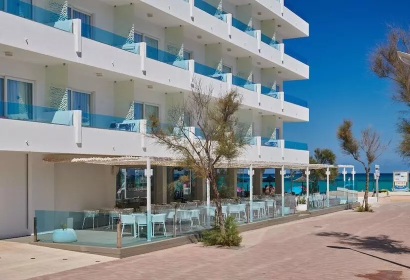 Fotos del hotel The Sea Hotel By Grupotel - Adults Only:  15