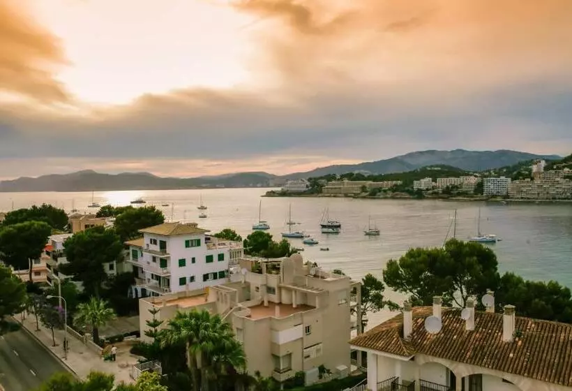 Fotos del hotel Bahia Del Sol:  9