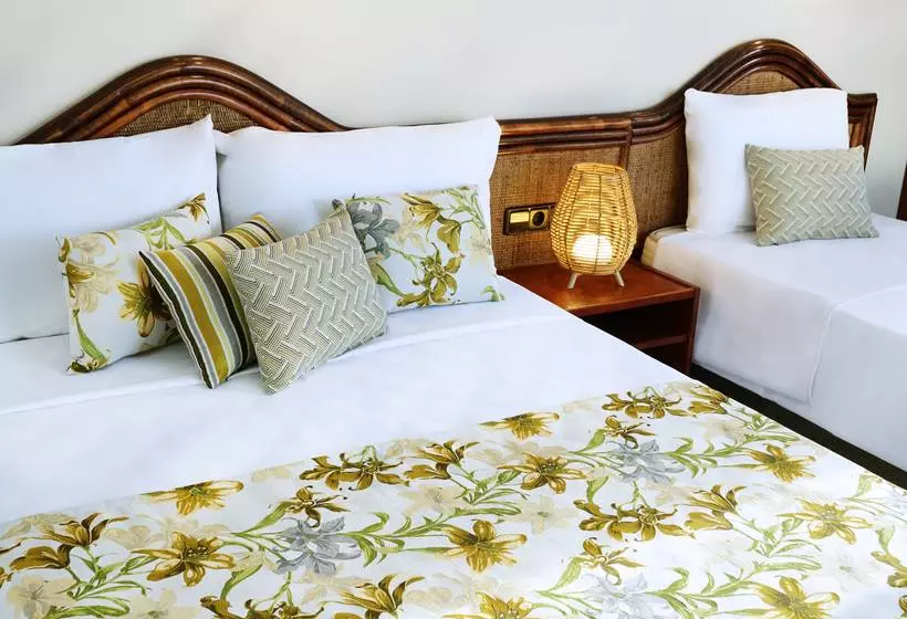 Fotos del hotel Cartago Nova by Alegria:  33