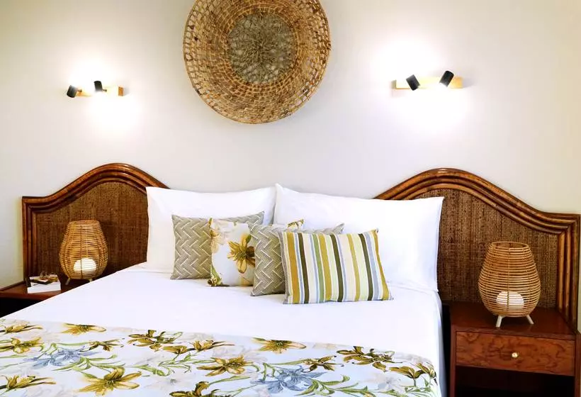 Fotos del hotel Cartago Nova by Alegria:  34