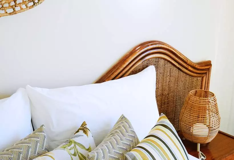 Fotos del hotel Cartago Nova by Alegria:  39