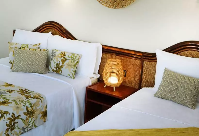 Fotos del hotel Cartago Nova by Alegria:  32