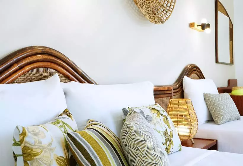 Fotos del hotel Cartago Nova by Alegria:  38