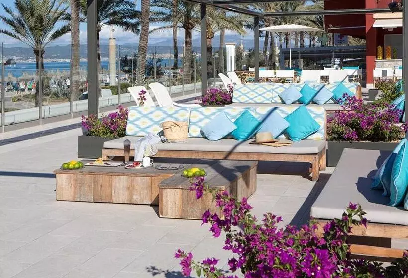 Fotos del hotel Myseahouse Neptuno:  21