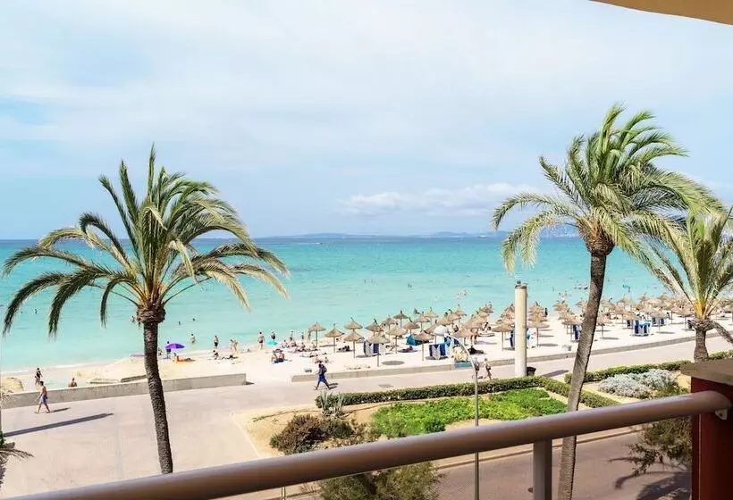 Fotos del hotel Myseahouse Neptuno:  19