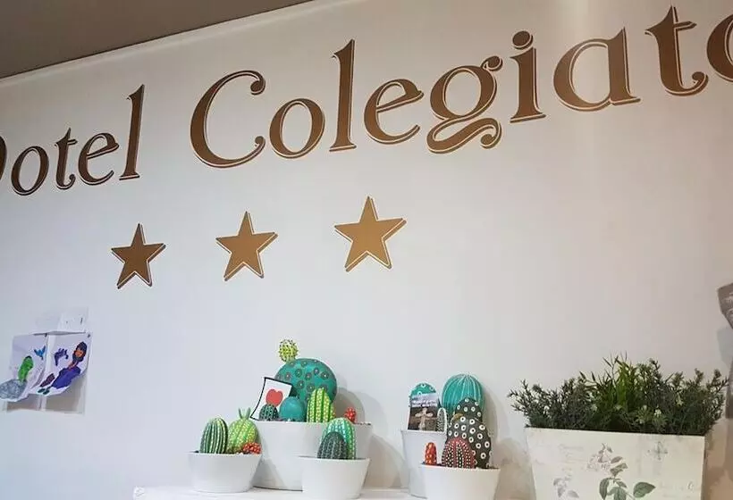 Fotos del hotel Colegiata:  17