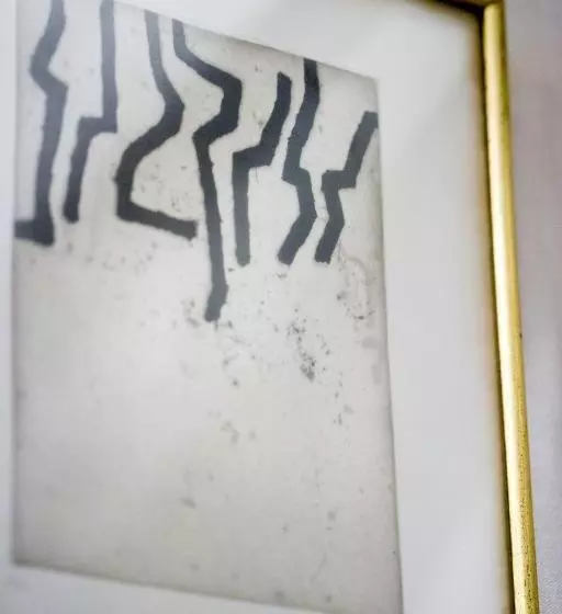 Fotos del hotel Niza:  16