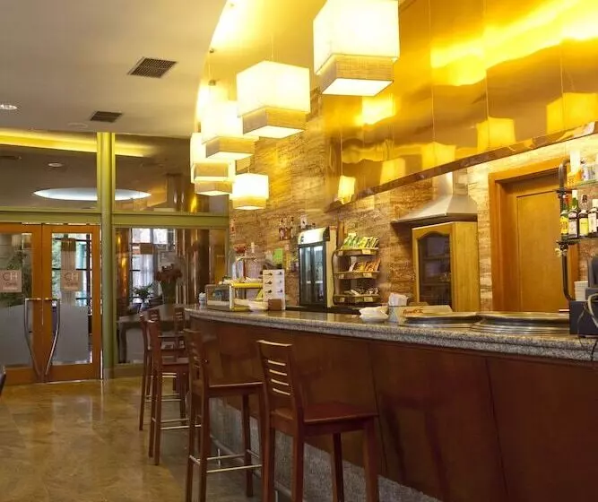 Fotos del hotel Alfonso Ix:  7