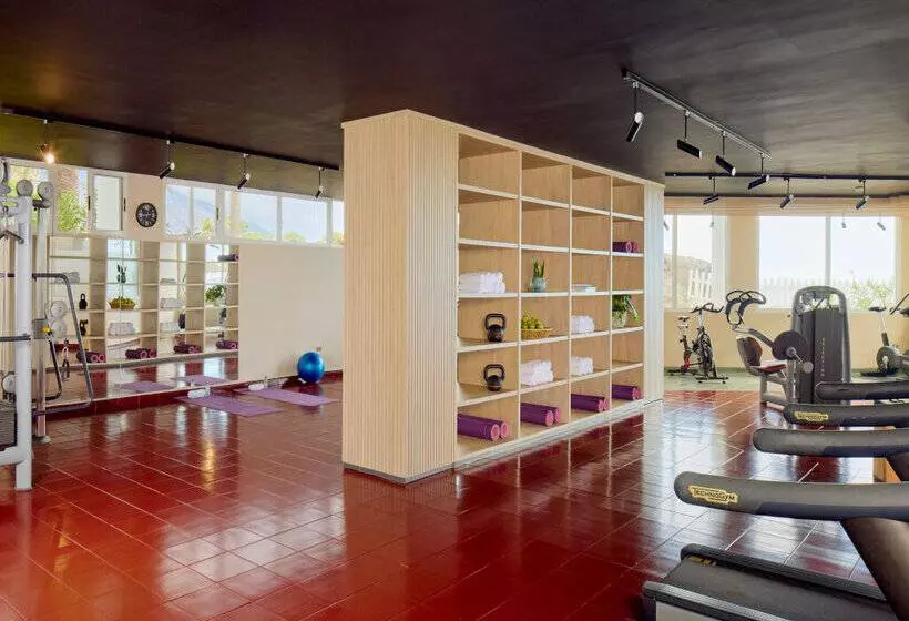 Fotos del hotel Sol La Palma:  54