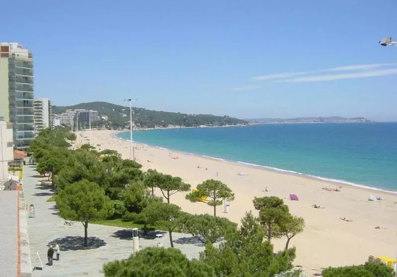 Fotos del hotel Aromar:  9