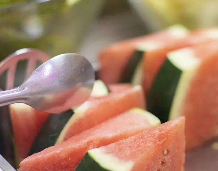 Fotos del hotel Spa La Terrassa:  25