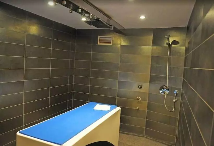 Fotos del hotel Spa La Terrassa:  8