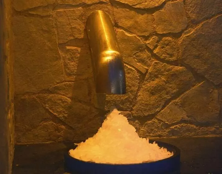 Fotos del hotel Spa La Terrassa:  15