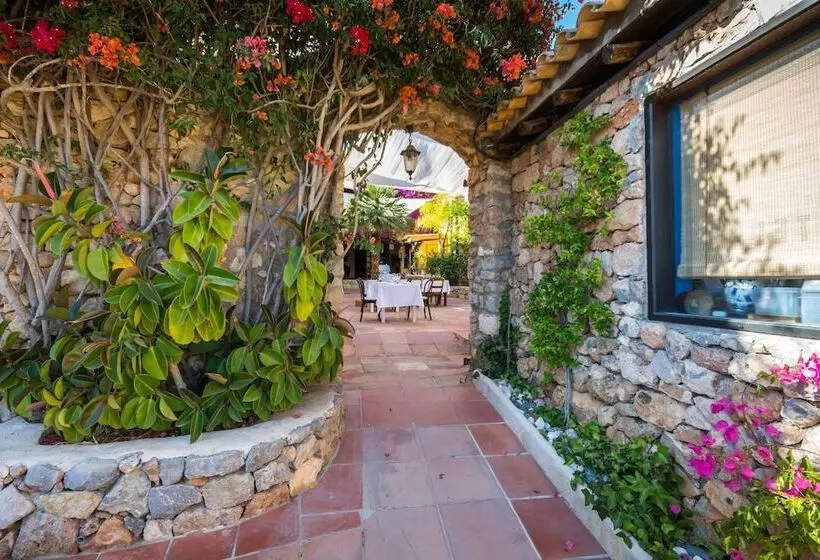 Fotos del hotel Pikes Ibiza:  13