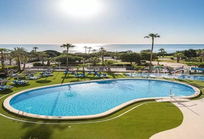 Fotos del hotel Playas De Torrevieja:  236