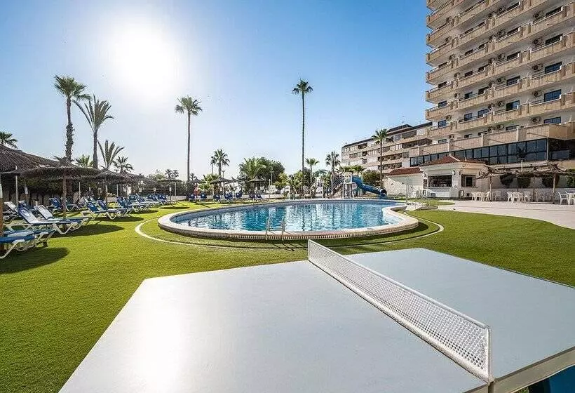 Fotos del hotel Playas De Torrevieja:  258