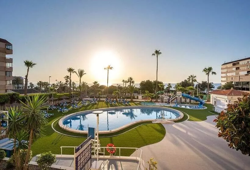 Fotos del hotel Playas De Torrevieja:  249