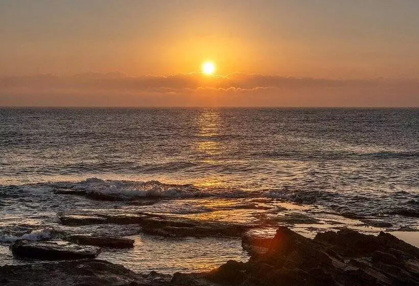 Fotos del hotel Playas De Torrevieja:  254