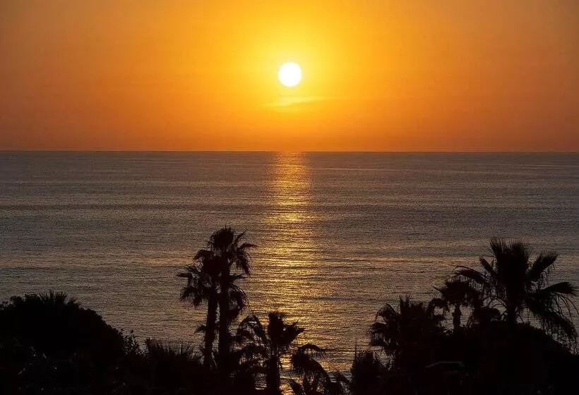 Fotos del hotel Playas De Torrevieja:  146