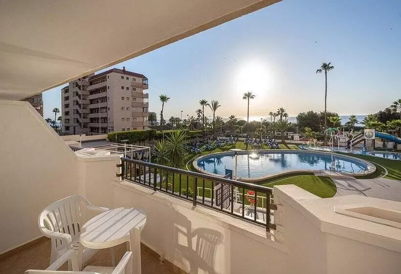 Fotos del hotel Playas De Torrevieja:  238