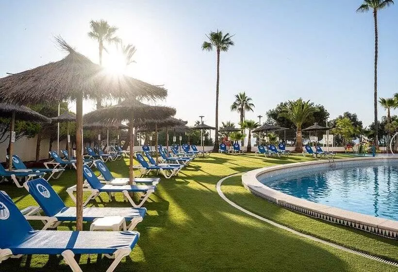 Fotos del hotel Playas De Torrevieja:  218